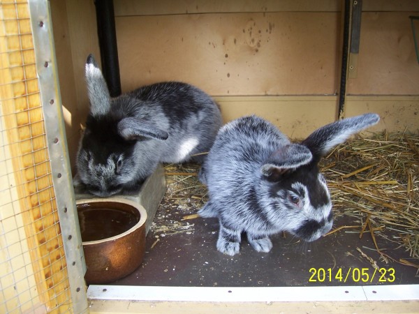 Vítáme vás na vystavě!