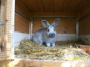 Vítejte na mém blogu..